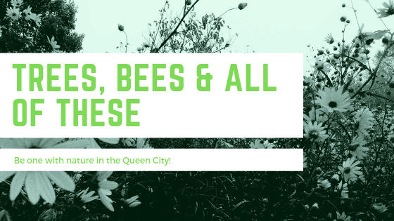 Become One with Nature in Charlotte with Trees, Bees & All of These